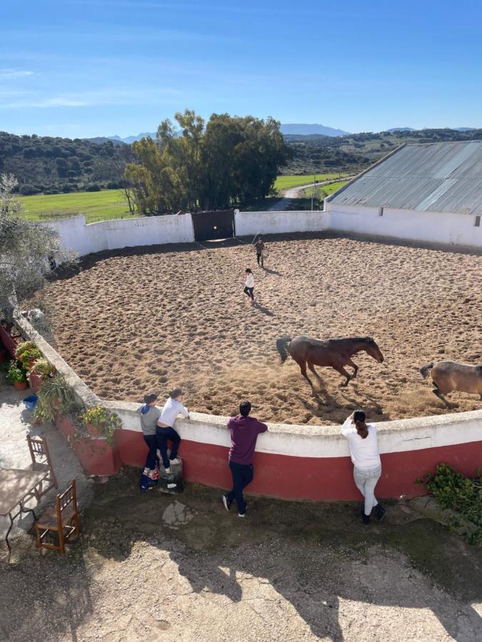 Casa Rural Finca De Las Encarnaciones Bajas Villanueva de San Juan Экстерьер фото